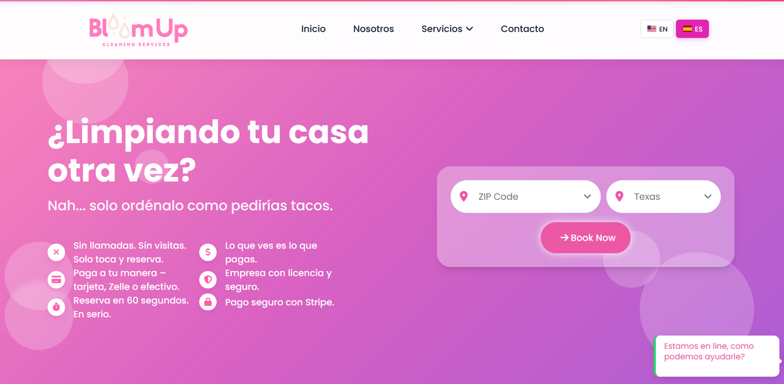 Ejemplo de sitio web para empresa de limpieza